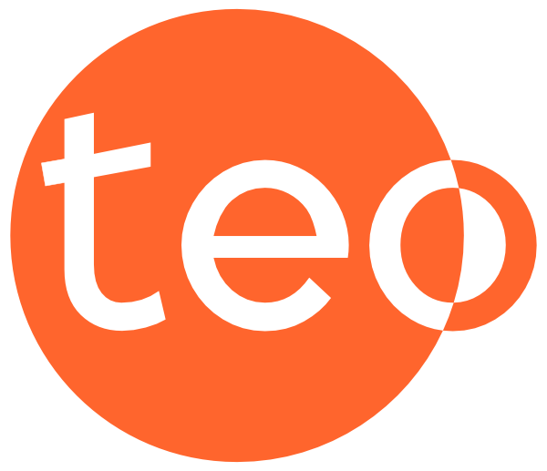 TEO DEV WP 01